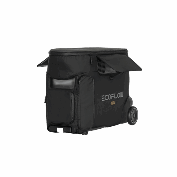 EcoFlow DELTA Pro Bag